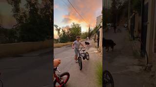 كلب الجيران فلتان بالحي 🤦🏻‍♀️ #shortvideo #اكسبلور #funny #shorts #trending #viral #love #dog