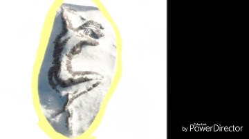 Mud Fossils!! Sleeping Beauty Giant!