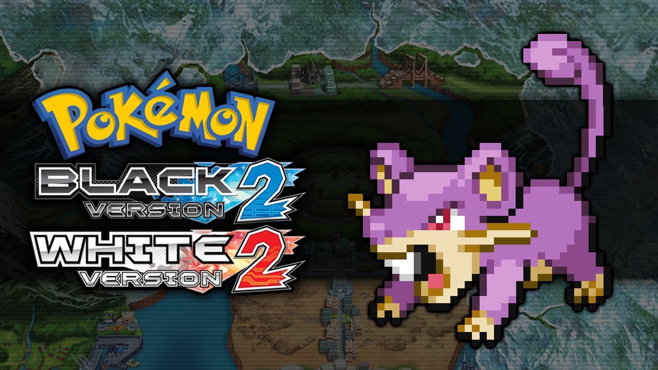 Pokemon Black 2 and White 2 How To Get Rattata YouTube