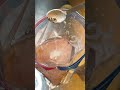【高タンパク鶏ハム】 #筋トレ #ダイエット #サラダチキン