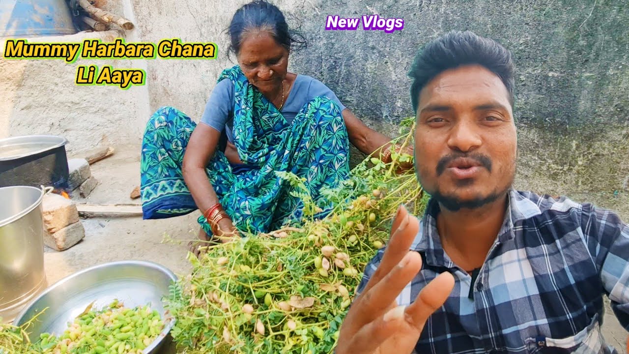 Mummy Harbara Chana Li Aaya Vlogs 👍|| #couplevlogs #familyvlog #vlogger 