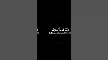 فتبسم ضاحكا من قولها 🌺 / القارئ بلال دربالي