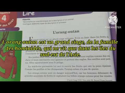 1ère année collège l' heure de français page: 94 l' orang-outan activité lecture
