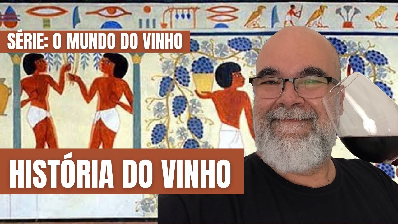 Valor Do Vinho Winemalia