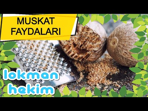 Video: Muskatın Sağlamlığa 10 Faydası