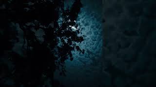 Nilave Mugam Kattu  Rajini   Illaiyaraja  Janaki