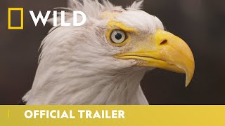 Back for Season 2 | Alaska Animal Rescue - Official Trailer | National Geographic Wild UK