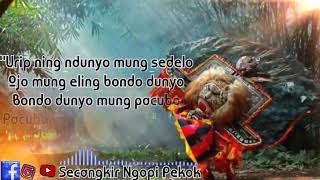 Story WA mantap Pitutur jawa 'Sing eling lan waspodo'