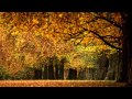 Justin Hayward-Forever Autumn