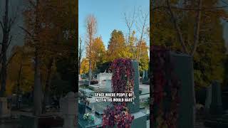 In the spirit of All Saints’ Day, take a moment to watch a video about one of the most famous and be