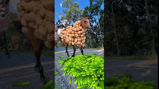 Horse have special effects on each c4d π― #viralshorts #shorts #vfx #shortsfeed #shortsyoutube Horse have special effects on each c4d π― #viralshorts #shorts #vfx #shortsfeed #shortsyoutube