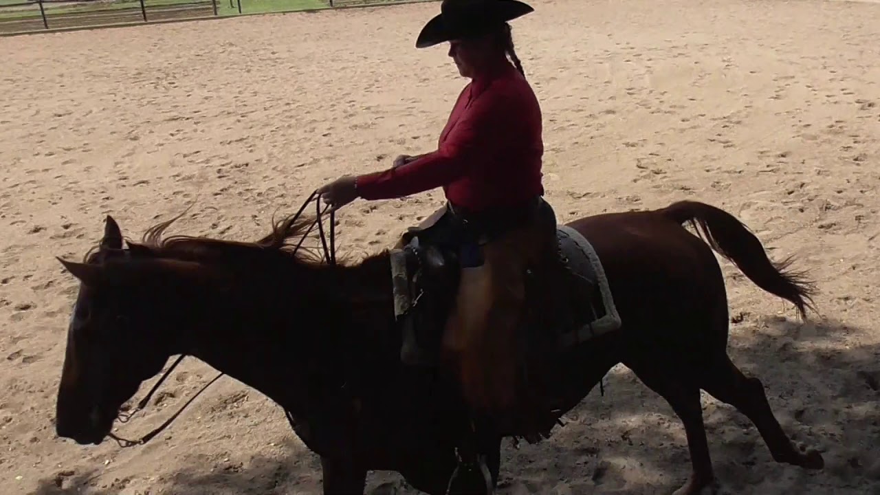 Judges Comments, Ranch Open/Level 7, Pattern 3