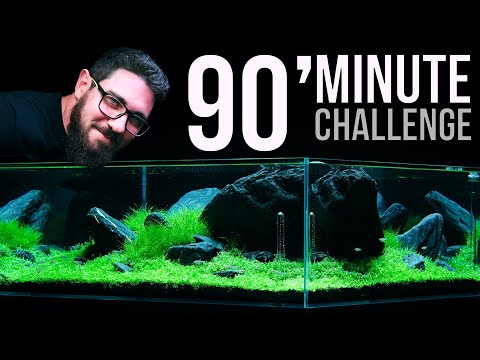 90cm CUBE Aquarium Build Under 90 MINUTES? Challenge Accepted!