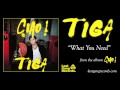 Tiga What You Need mp3