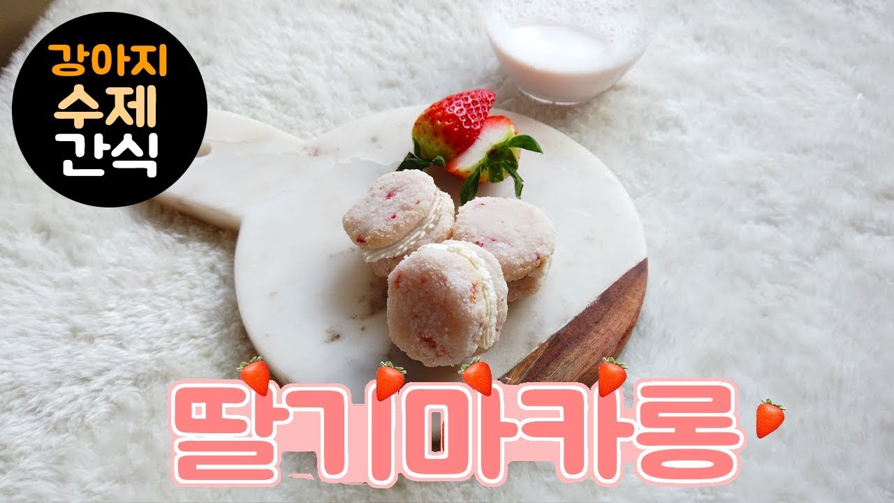 강아지 마카롱 만들기! 강아지 수제간식 강아지가 먹을 수 있는 마카롱 子犬おやつ マカロン