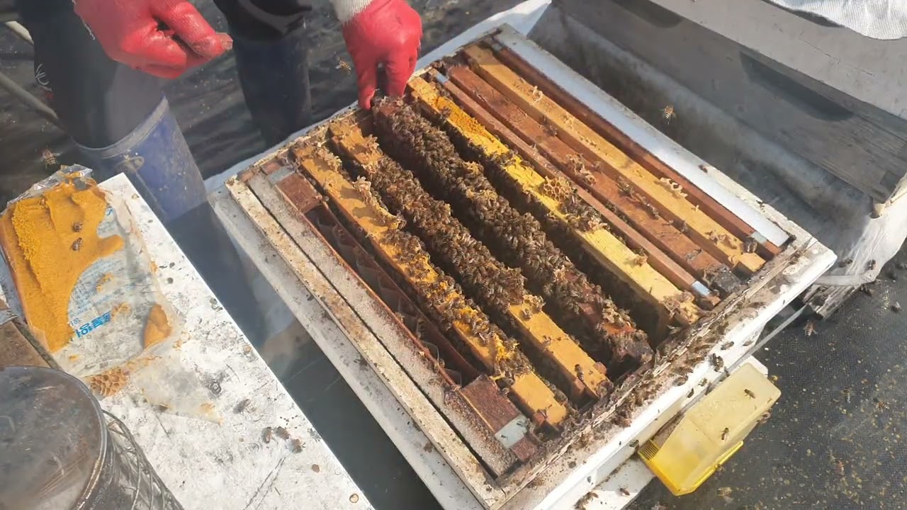 26/2/4 봄벌 깨우기{1/15}{26년도 수탁사업합니다}