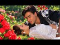 Tumse Milne Ko Dil Karta Hai (Lyrical) Ajay Devgn | Madhoo | Alka Y | Kumar S | Phool Aur Kaante