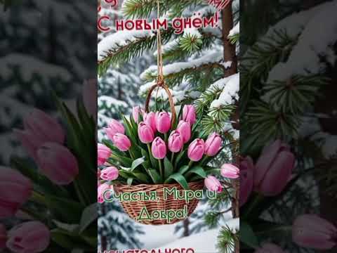 Доброе утро! #сдобрымутром #доброеутро #хорошегонастроения #доброгоутраихорошегодня #цветы #позитив