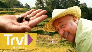 Snail Harvesting in an Indonesian Rice Paddy | Bizarre Foods with Andrew Zimmern | Travel Channel by Travel Channel 5,013 views 2 days ago 8 minutes, 17 seconds