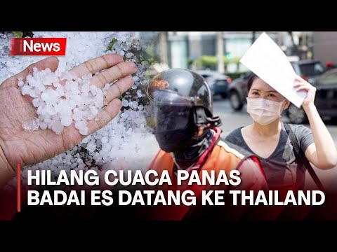 Video: Musim Dingin di Thailand: Panduan Cuaca dan Acara