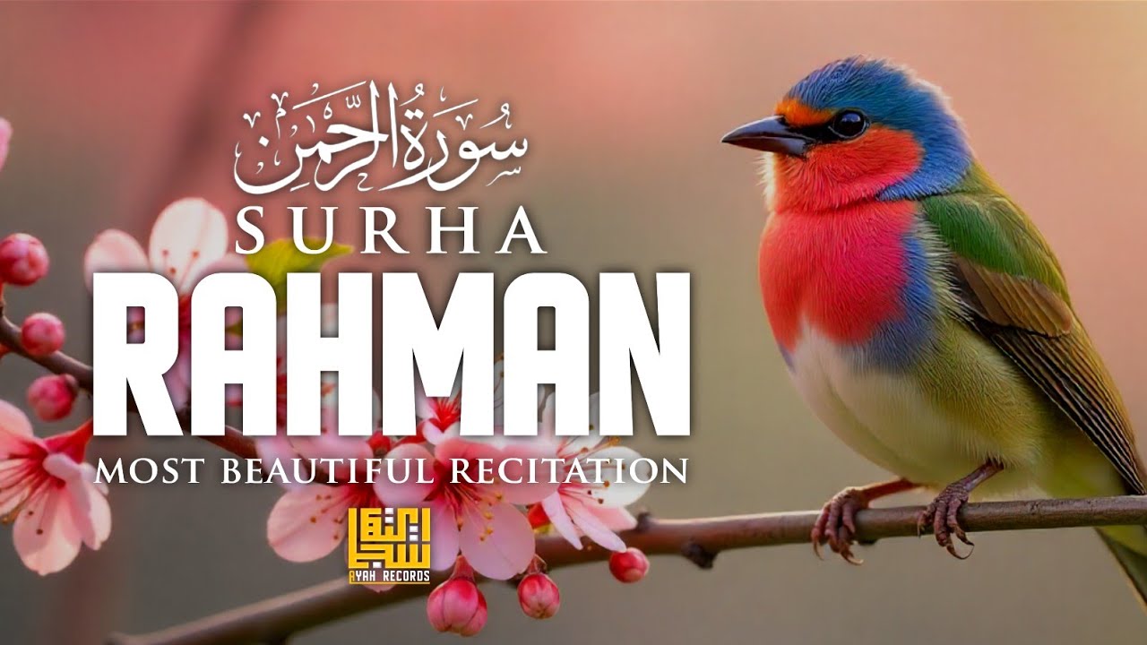 Surah Ar-Rahman (الرحمن) | Beautiful & Heart Touching Quran Recitation by Alaa Yasser | Ayah Records