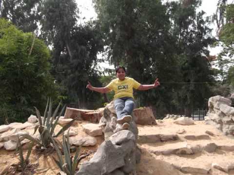 مهرجان فرحة كابو