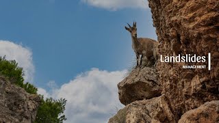 Landslide Management