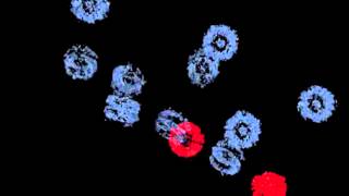 Shining light on the cell's tunnels