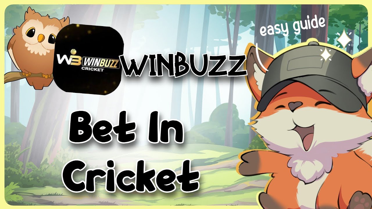 how-to-bet-in-winbuzz-cricket-guide-glimpse-youtube