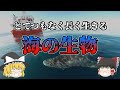 【ゆっくり解説】信じられないくらい長寿な深海の生物