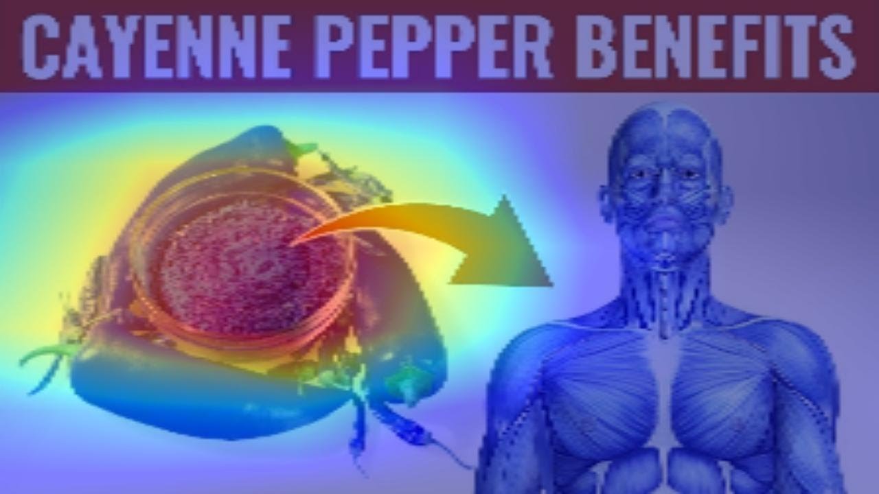 Take Cayenne Pepper Daily To Clean Your Cardiovascular System YouTube how-much-cayenne-pepper-per-day-heated-peppers