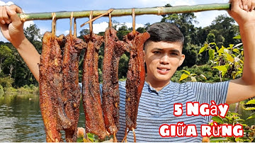 Thịt Rừng Gác Bếp | 5 Ngày Sống Trong Rừng ( phần 3 )