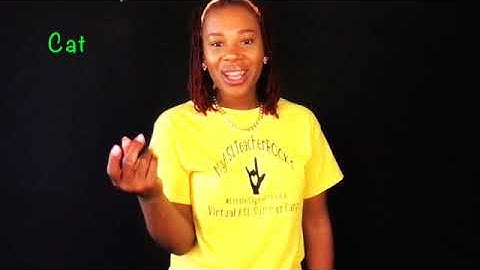 ASL SIGNS FOR PETS    SD 480p