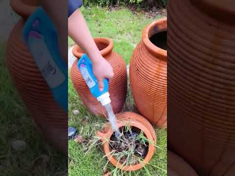 Video: Water Wand Para sa Mga Halaman - Paano Gumamit ng Watering Wand Sa Hardin