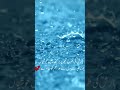 Beautiful Rainy Day Status | Relaxing Rain Sounds #shorts