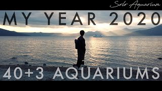 MY YEAR 2020｜水族館巡りの記録