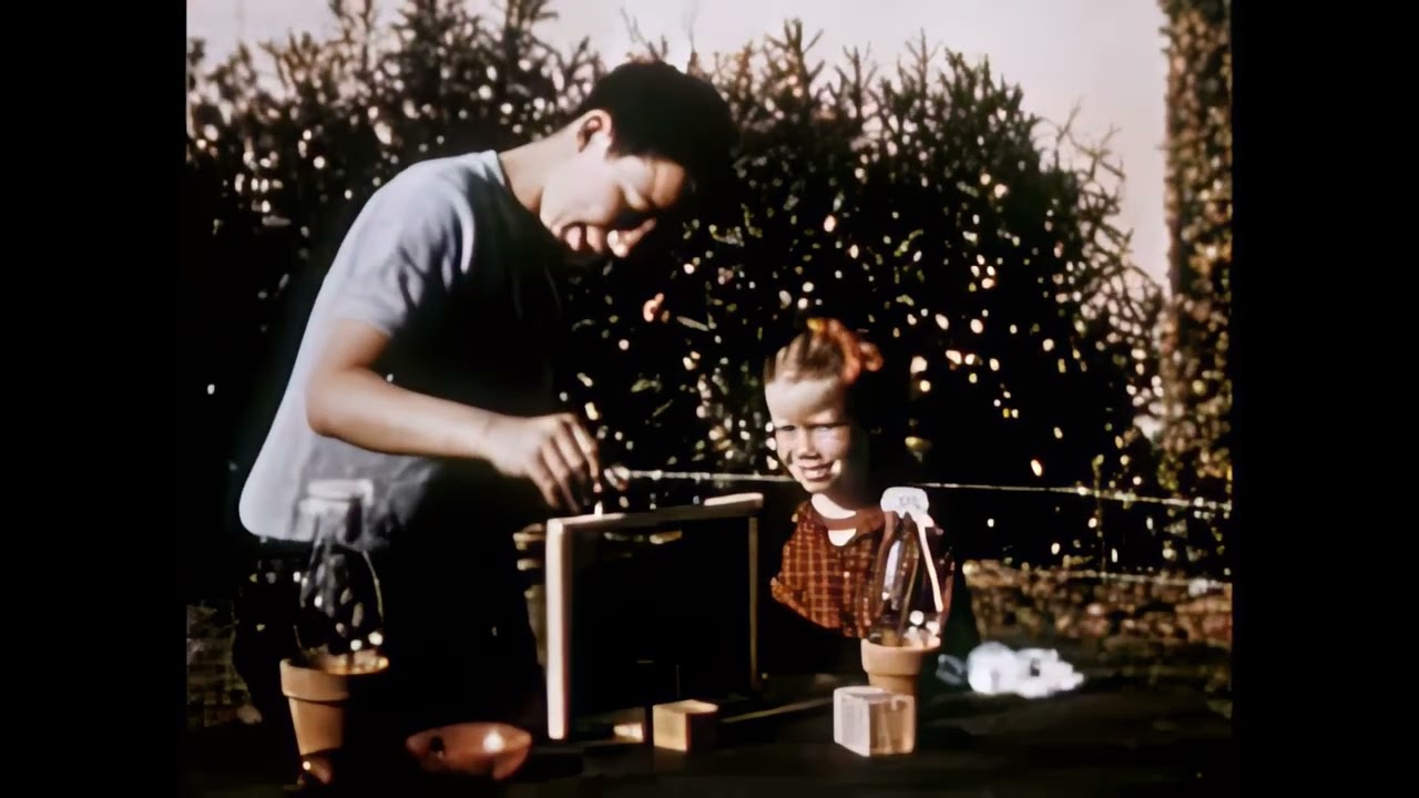 Rare 1950 Educational Film “Insect Zoo” Restored in 4K