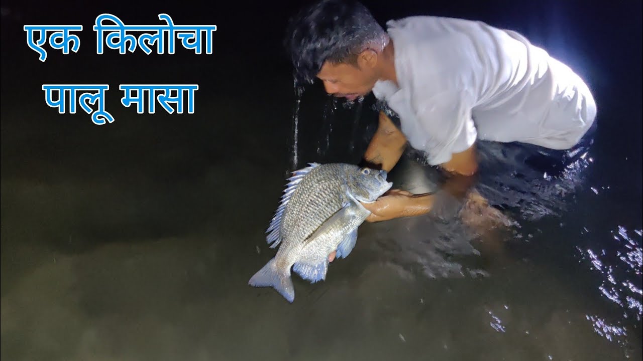 समुद्रावरती पकडला मोठा मासा , मासे पकडायला गेलो आणि खेकडे घेऊन आलो | crab catching @TejaGurav