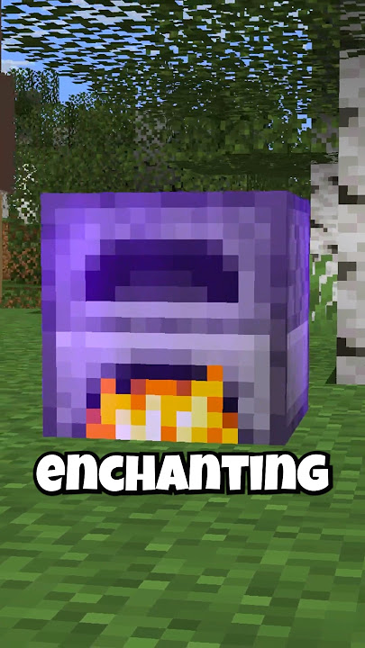 Enchant BLOCKS in Minecraft