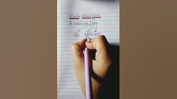 #ktrick Calvin cycle#short video