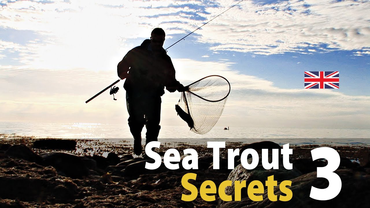 Sea Trout Secrets 3 - Spin fishing 