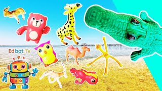 Download Lagu Animal Names | Kids Learn: Crocodile Mouse Llama Donkey Antelope MP3