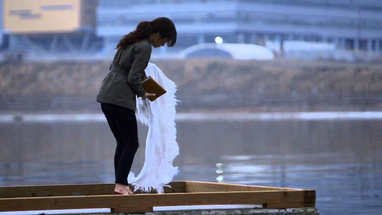 Undetected by Dee Henderson- Book Trailer (New Romantic Suspense)