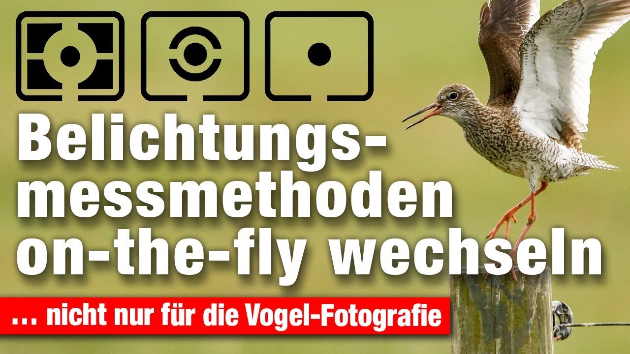 Belichtungsmessmethode on-the-fly wechseln mit der richtigen Tastenbelegung an deiner Kamera