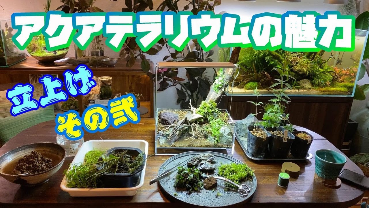 ナオページ2　テラリウム オーダー作品　アクアテラリウム ナオページ2 テラリウム オーダー作品 アクアテラリウム ナオ