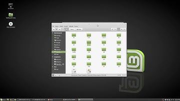 linux mint - xampp instalacja