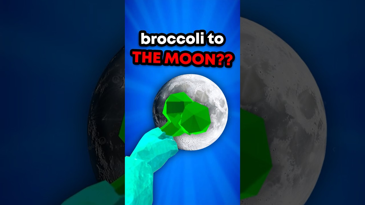 Can You Escape the MOON With BROCCOLI? 🤔🌙