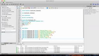 Master Practical Java Development : Lecture 43: Preparing the Database and Basic SQL Commands