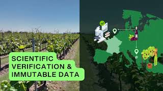  74 How science and blockchain protect the origin of wine | Plantations & Product Passport