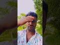 নসিব ভালো হলে সফলতা আসবে #shortvideo #shorts #short #viral